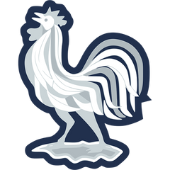 Franța — Echipa Națională